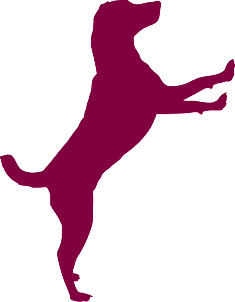 Logo Hund Spanien