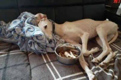 Margarita kämpft um ihr Leben!