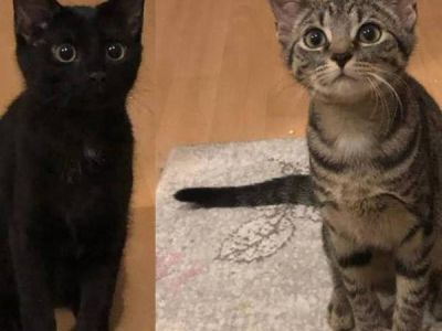 Lotte und Lilly Lotte und Lilly