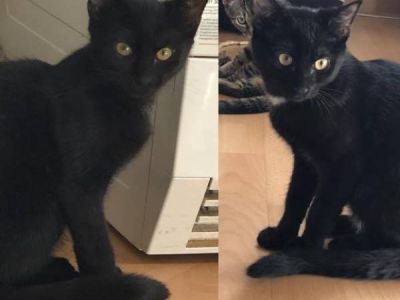 Luna und Levi Luna und Levi