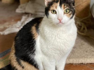 Lilly Lilly