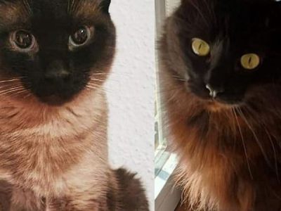 Sombra und Sinver Sombra und Sinver