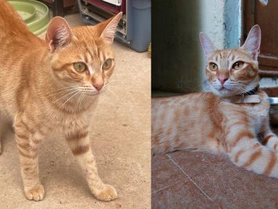 Cloe und Zape Cloe und Zape