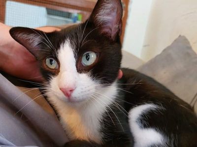 Goigoi und Snoopy Goigoi und Snoopy