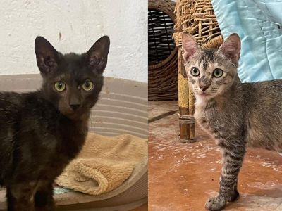 Vilma und Dani Vilma und Dani