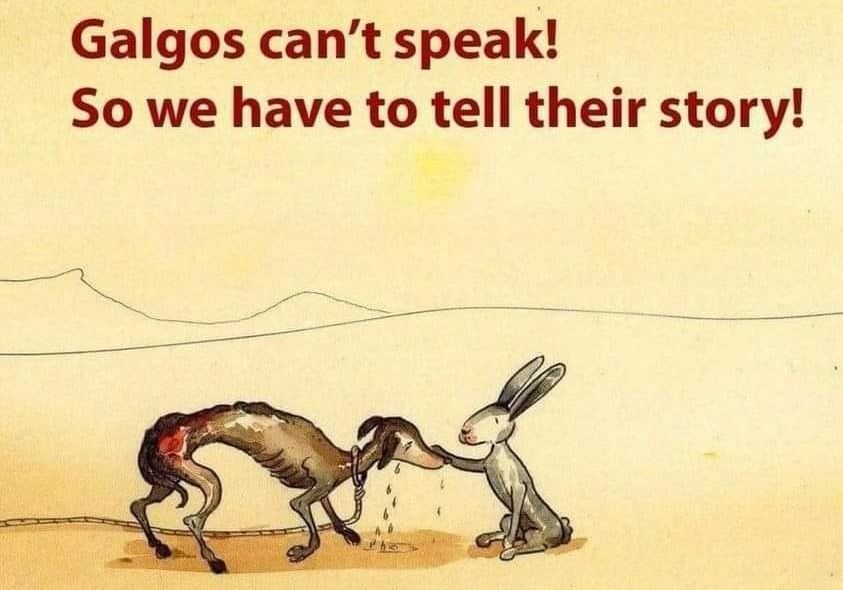 Galgos can`t speak!