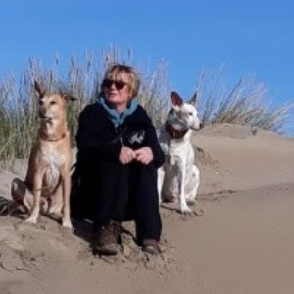 Brigitte Adams - Pflegestelle Hunde
